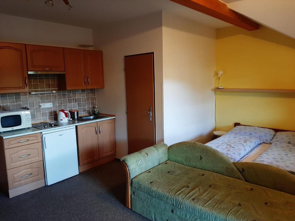 Studenov Apartment *
